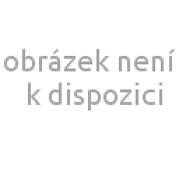 Obrázek pro produkt Knoflíková kanyla 1,0 x 80 mm, rovná, A, , 50ks