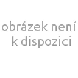 Obrázek pro produkt Injekční jehla 25G / 6 mm; 2,4 / 2300 mm